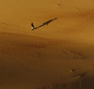 Man in the desert